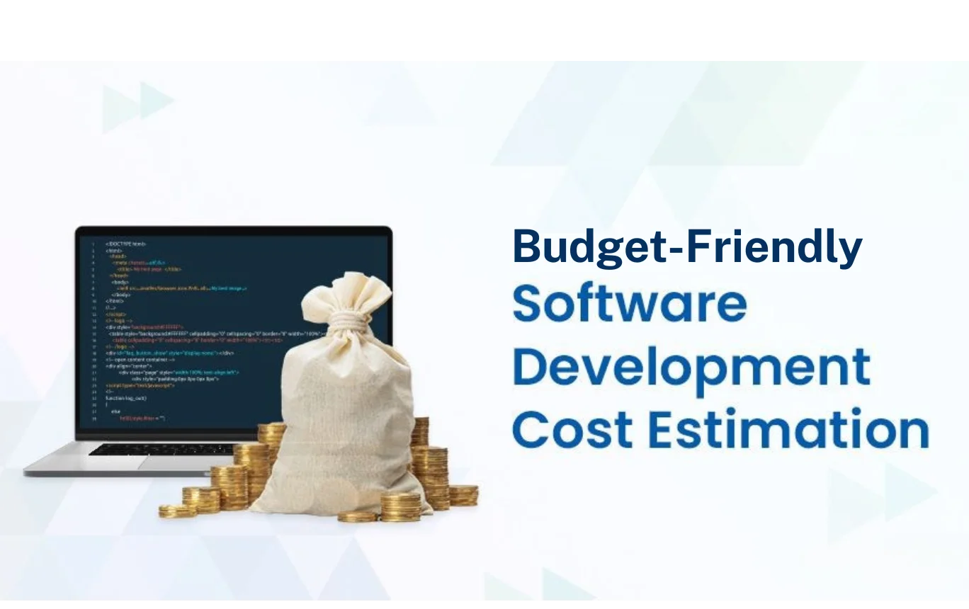 Budget software development
