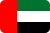 Dubai flag