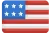 Austin flag